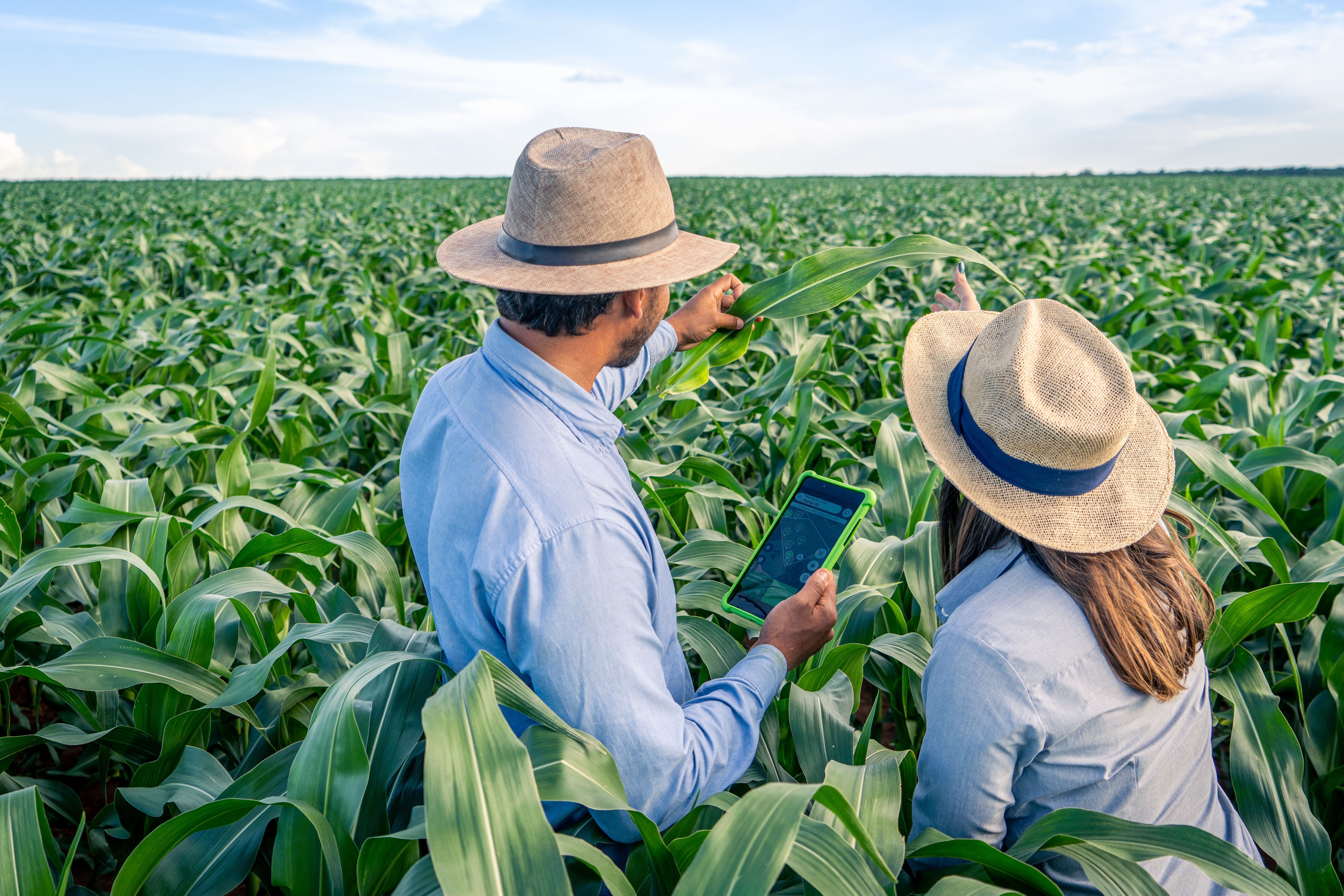 Syngenta apresenta novas soluções biológicas e ferramentas digitais para a agricultura 